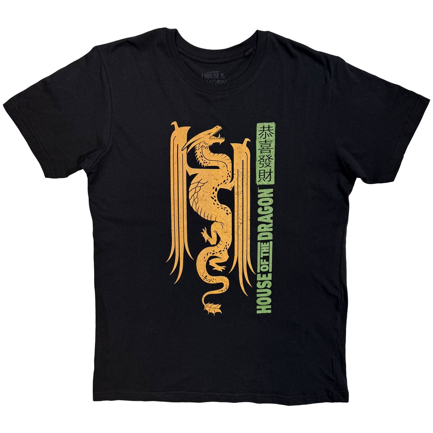 Een foto van een House of the Dragon T-Shirt