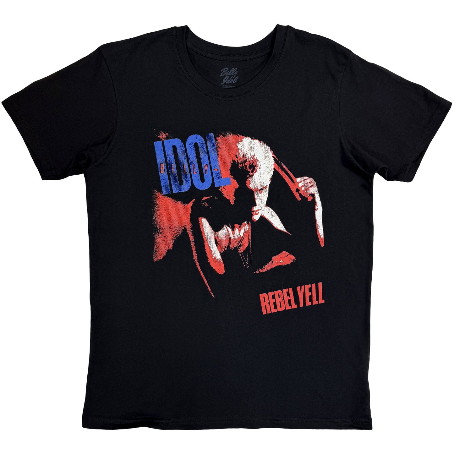 Een foto van een Billy Idol T-Shirt