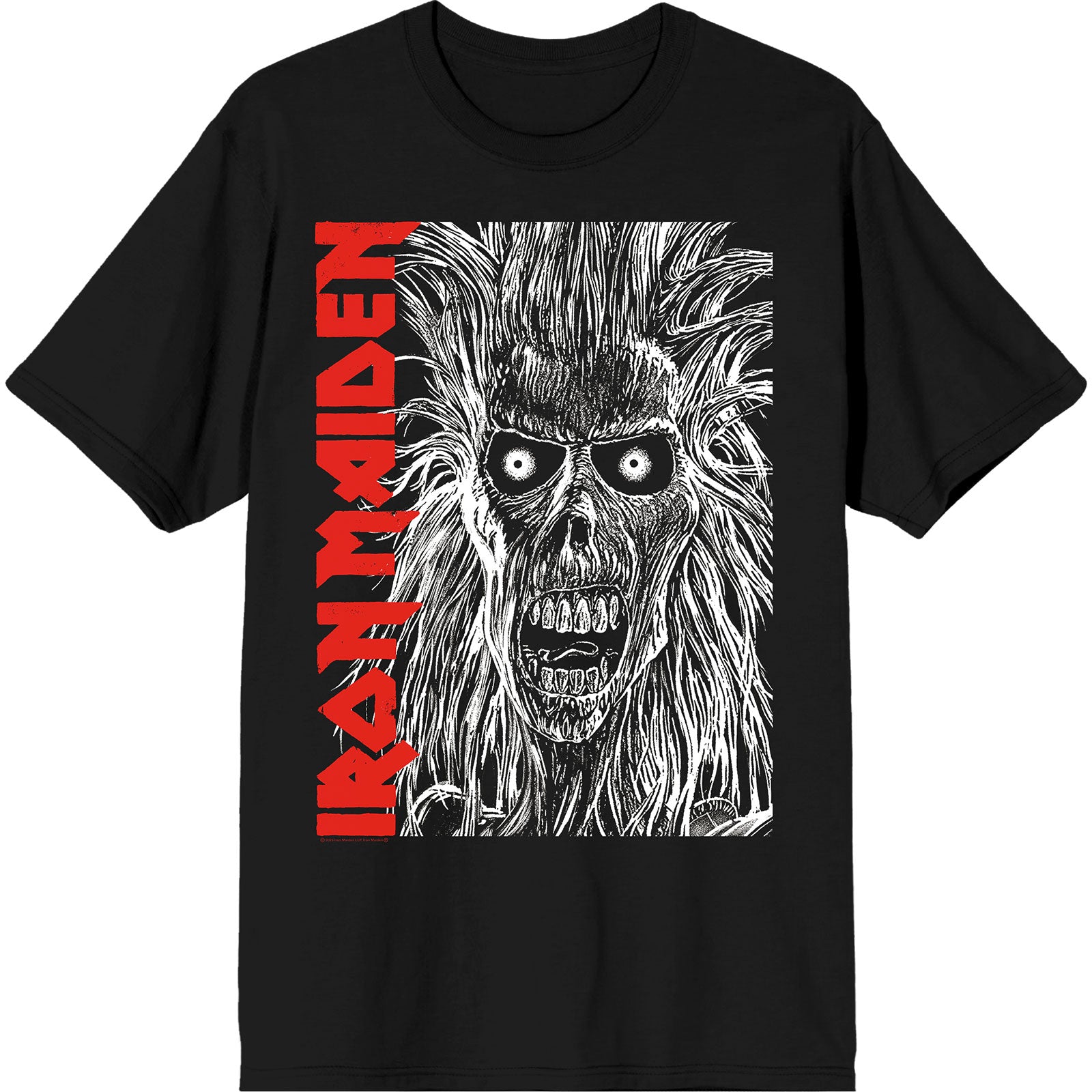 Een foto van een Iron Maiden T-Shirt