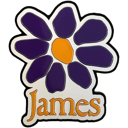 Een foto van een James Magneet