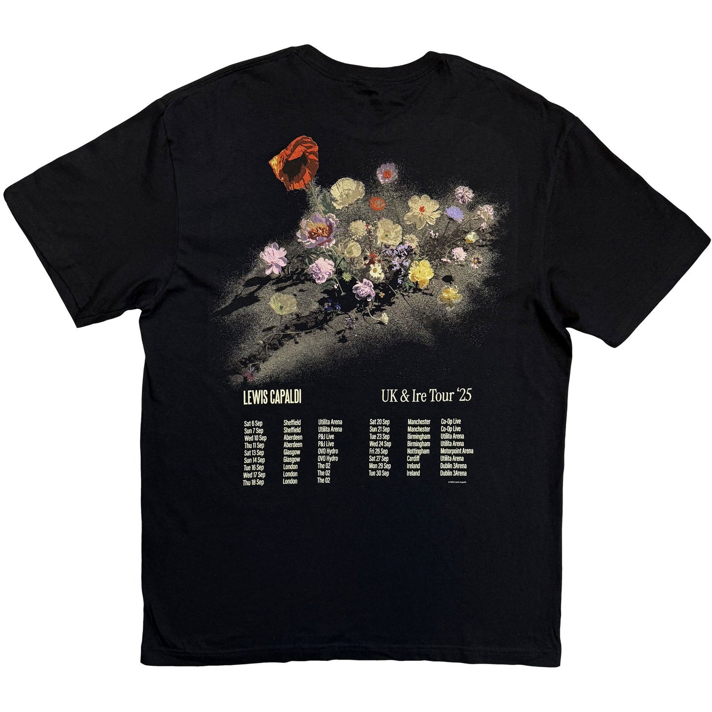 Een foto van een Lewis Capaldi T-Shirt