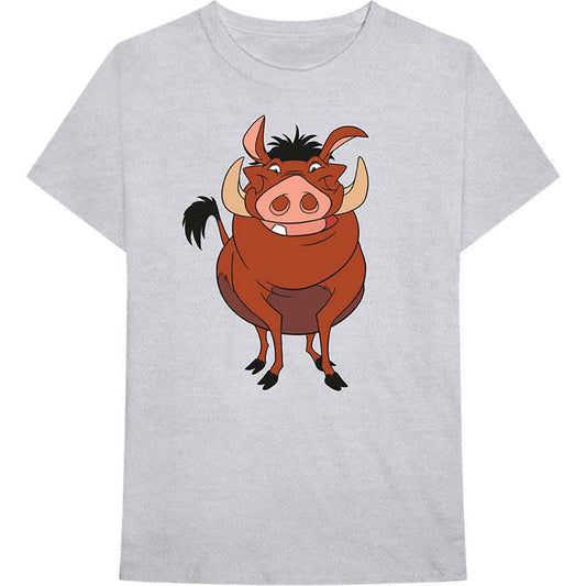 Een foto van een Disney T-Shirt