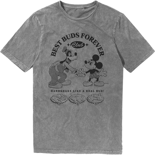 Een foto van een Disney T-Shirt