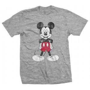 Een foto van een Disney T-Shirt