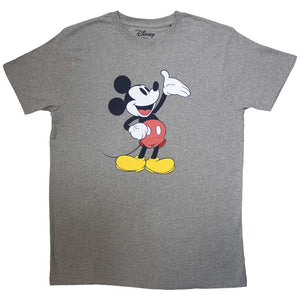 Een foto van een Disney T-Shirt