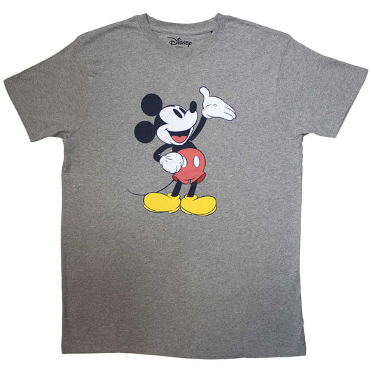 Een foto van een Disney T-Shirt