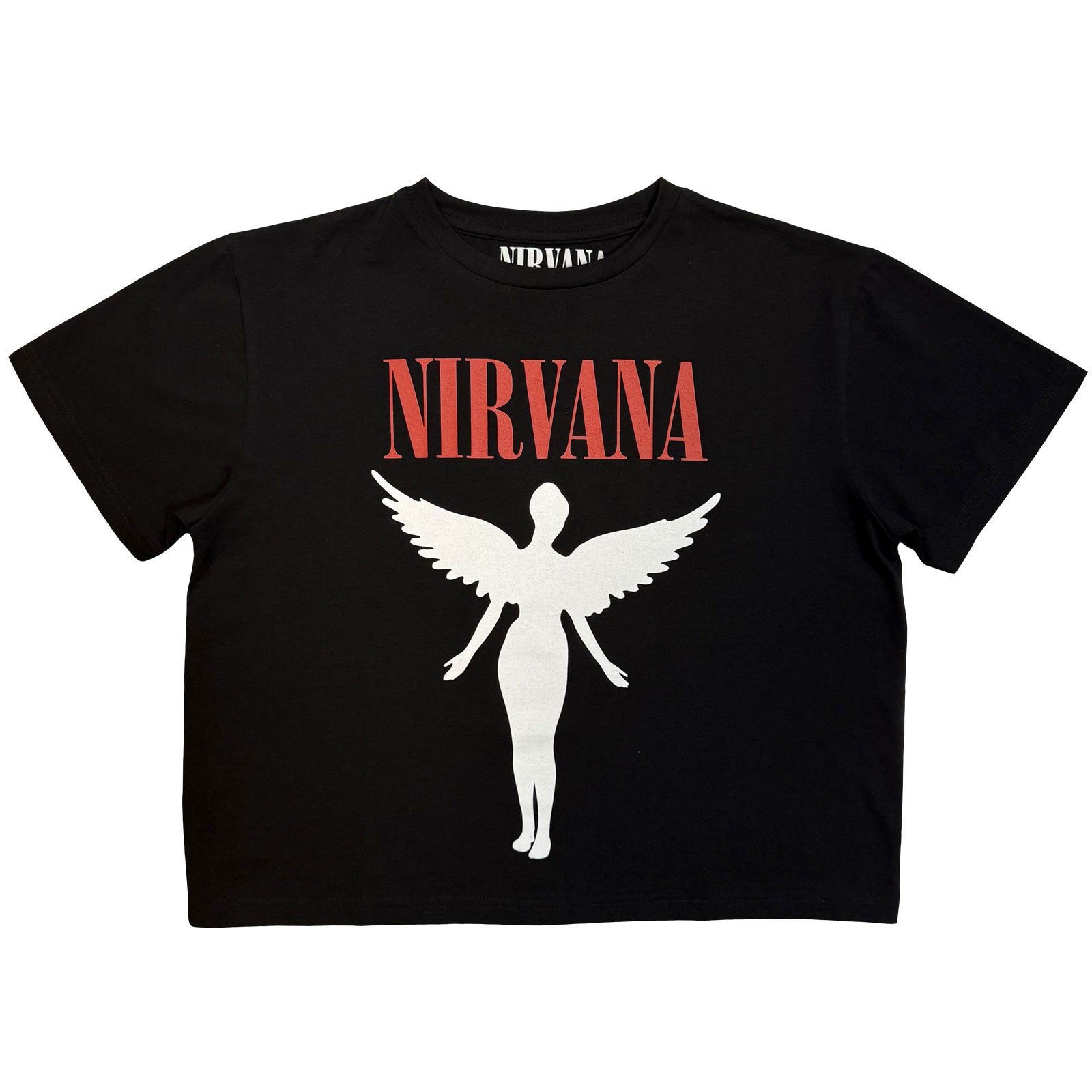 Een foto van een Nirvana T-Shirt