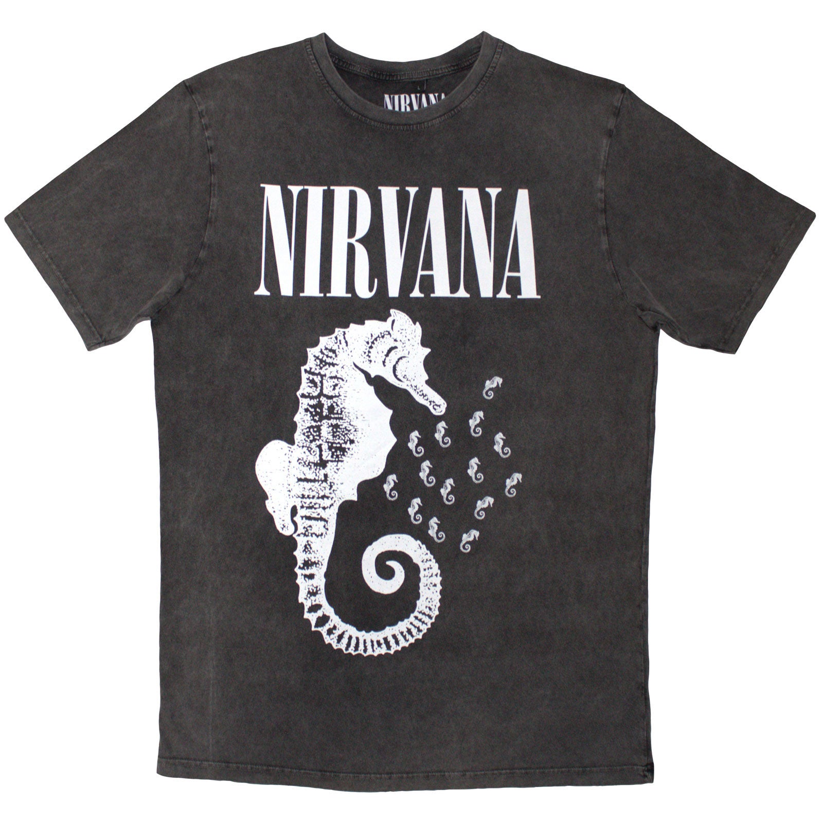 Een foto van een Nirvana T-Shirt