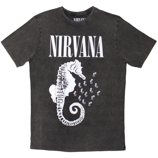 Een foto van een Nirvana T-Shirt