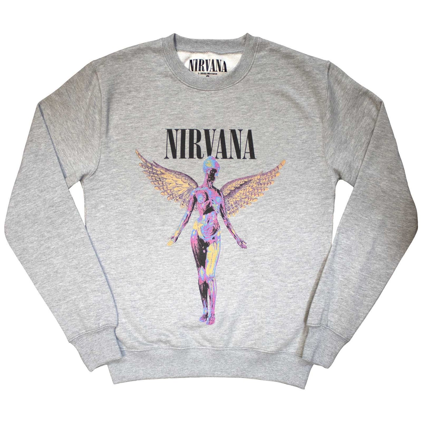 Een foto van een Nirvana Sweatshirt