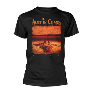 Een foto van een ALICE IN CHAINS T-Shirt