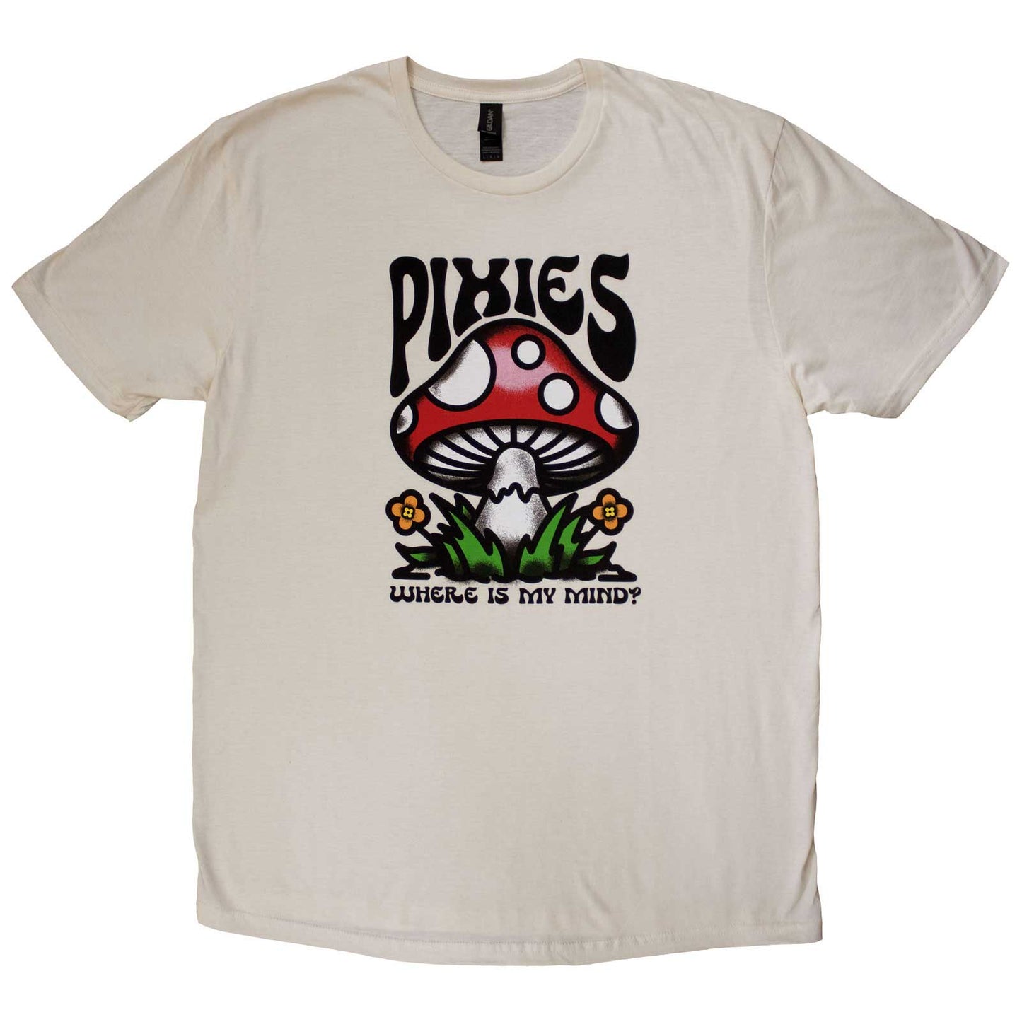 Een foto van een Pixies T-Shirt