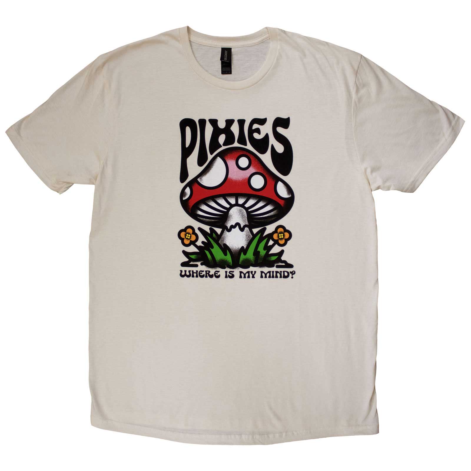 Een foto van een Pixies T-Shirt