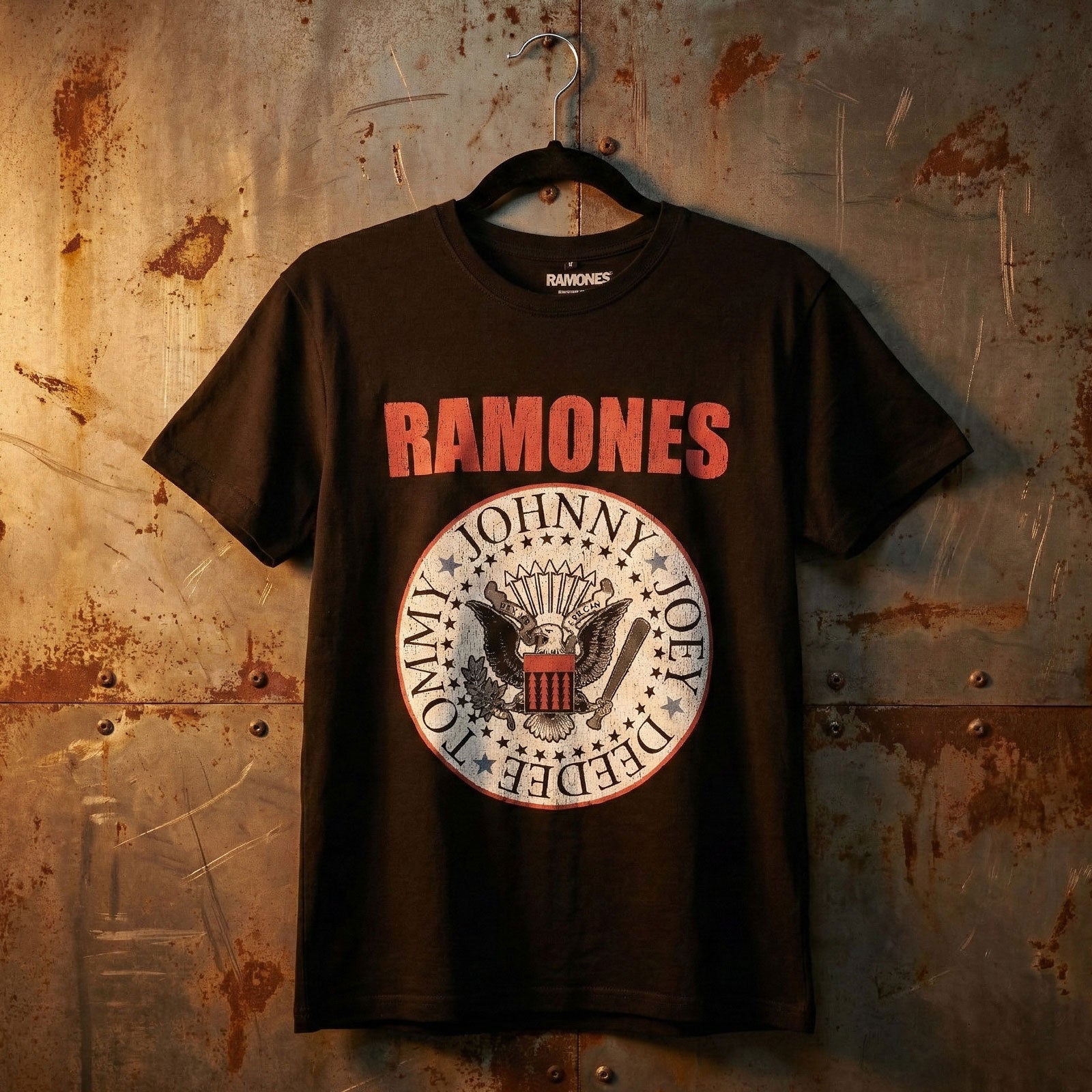 Een foto van een Ramones T-Shirt