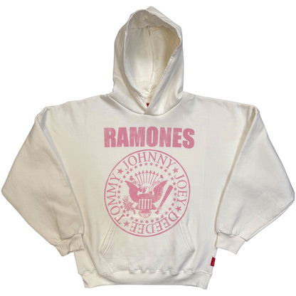 Een foto van een Ramones Hoodie