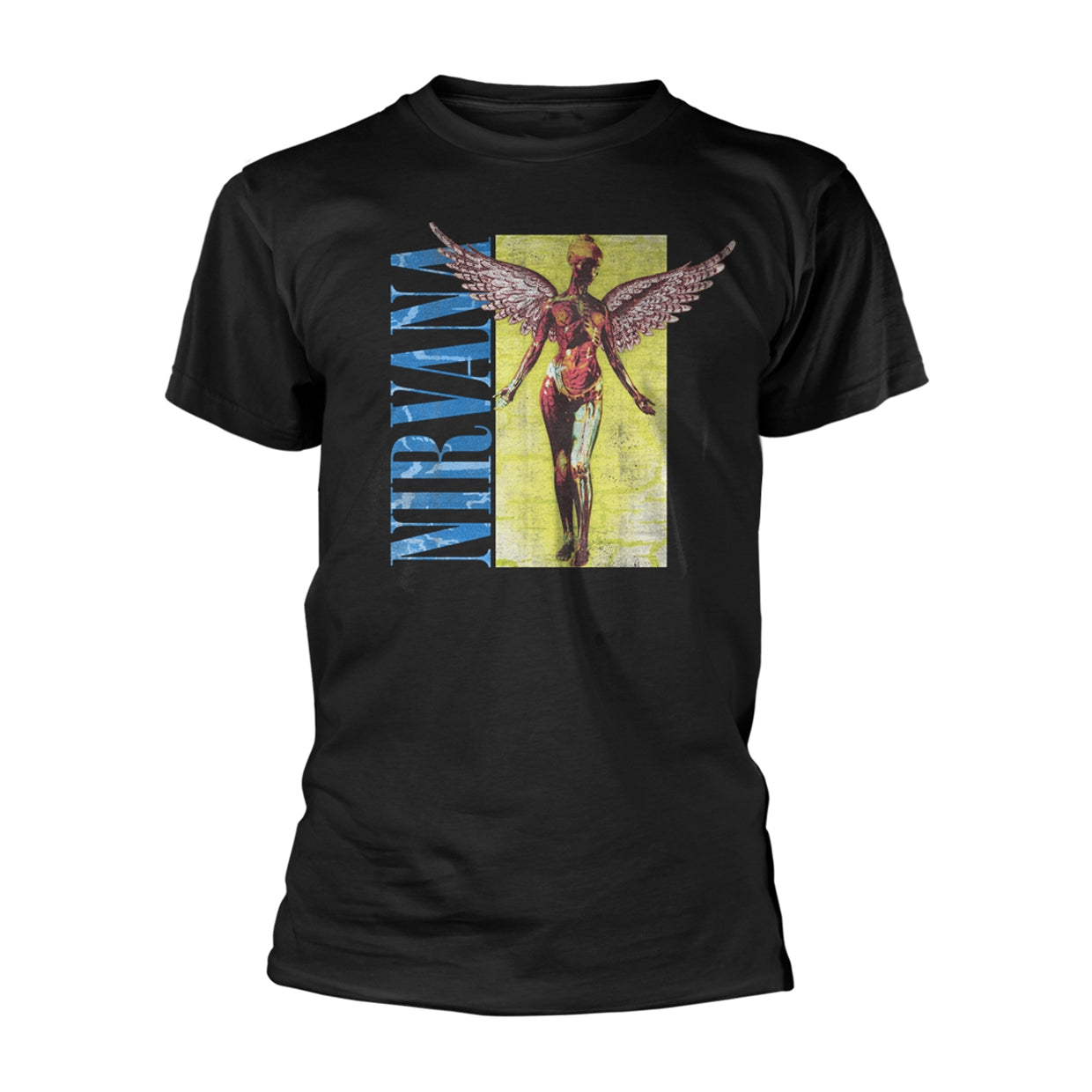 Een foto van een Nirvana T-Shirt