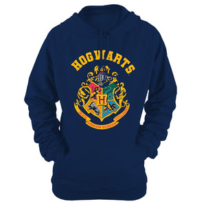 Een foto van een HARRY POTTER Trui