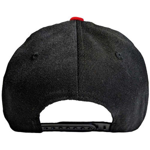 Een foto van een Slayer Snapback Pet