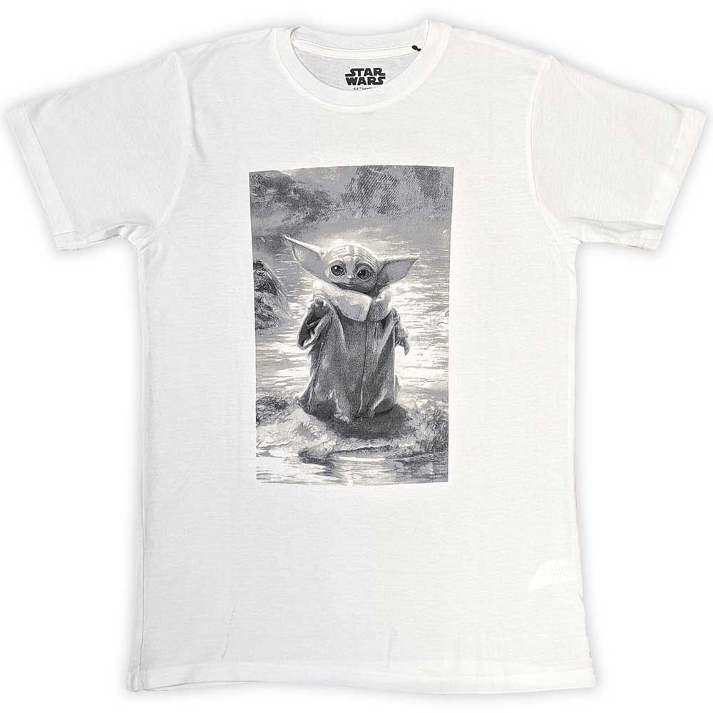 Een foto van een Star Wars T-Shirt