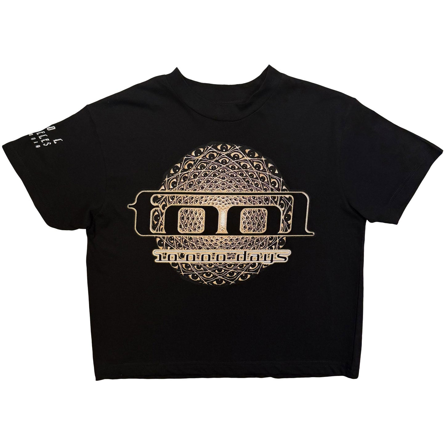 Een foto van een Tool T-Shirt