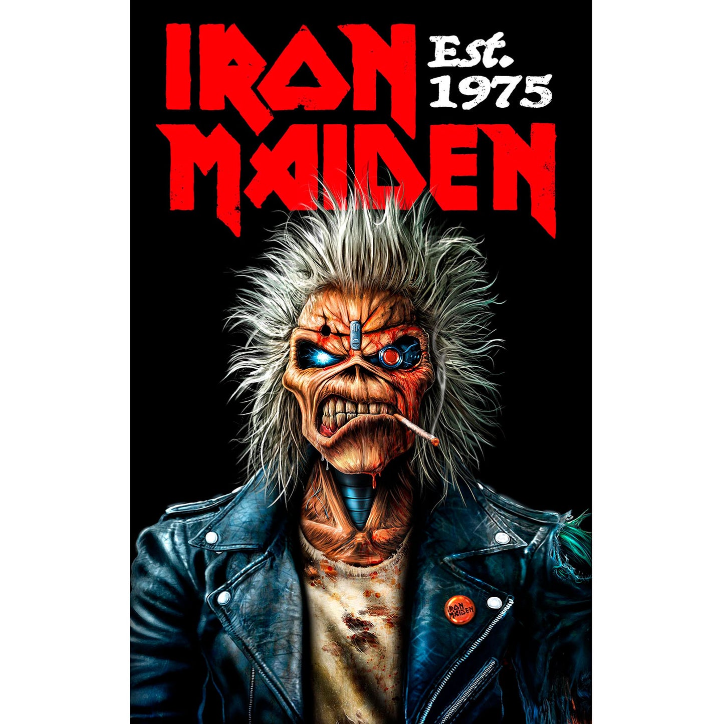 Een foto van een Iron Maiden Poster