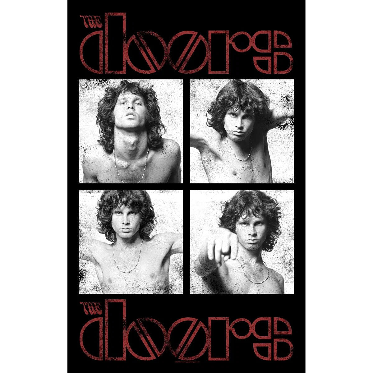 Een foto van een The Doors Poster