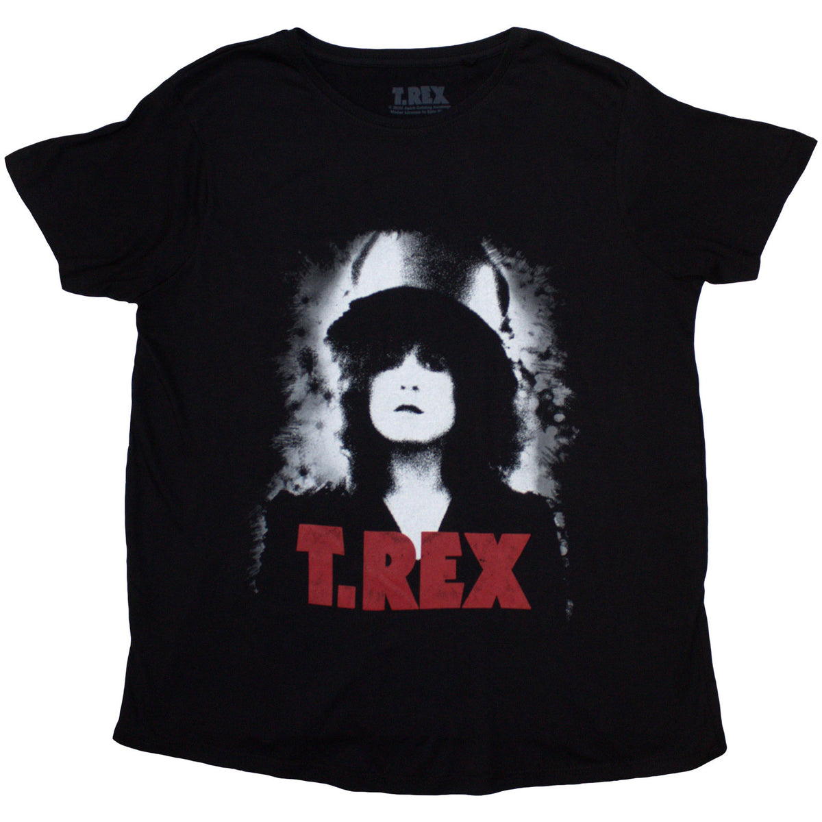 Een foto van een T-Rex T-Shirt